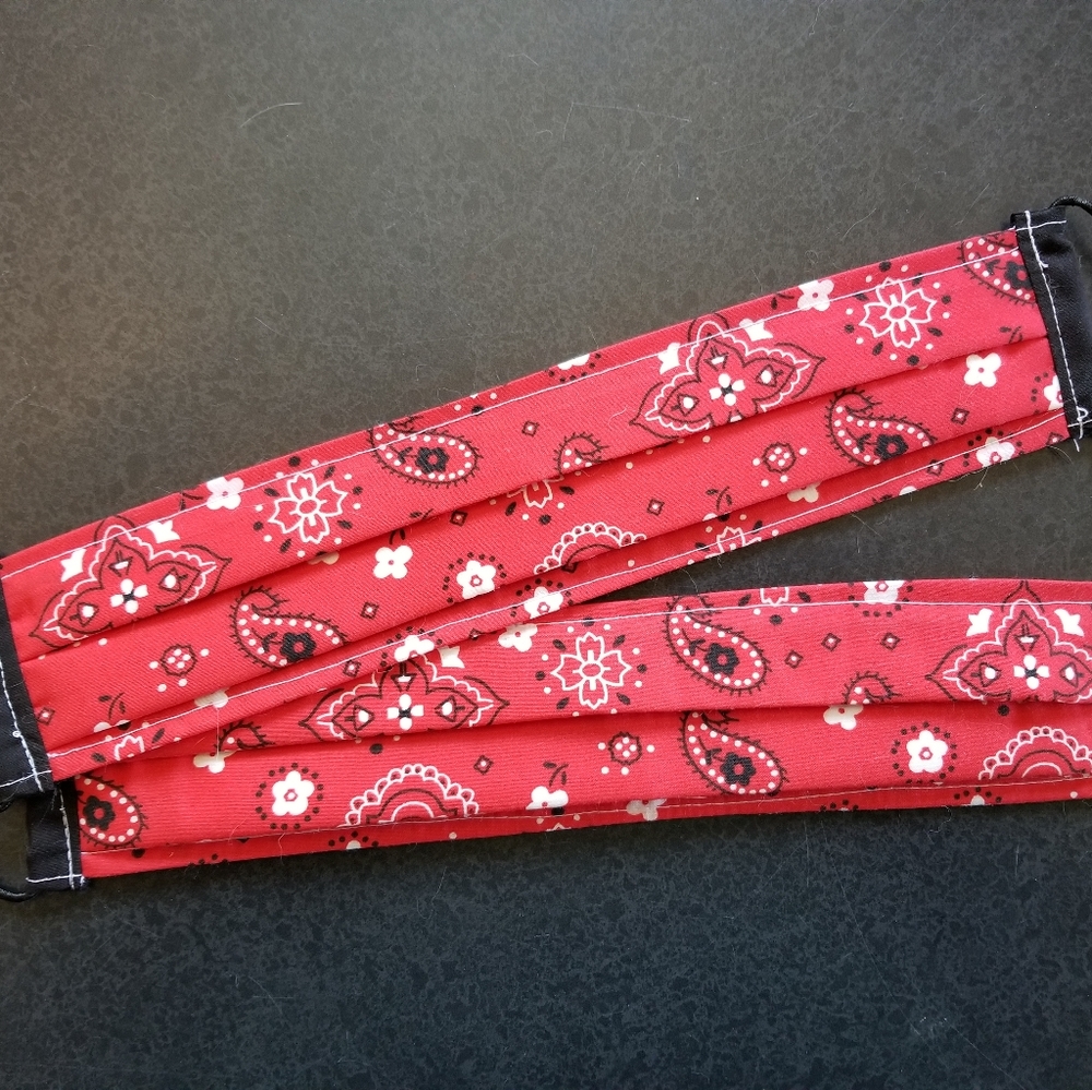 Pleated Face Mask - Red Floral Bandana